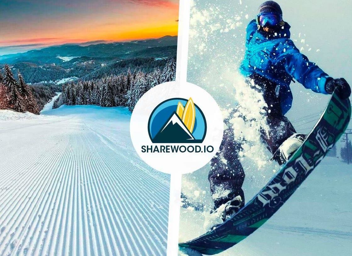 -50% funding reached! Milestone for Sharewood.